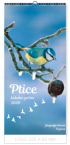 PTICE